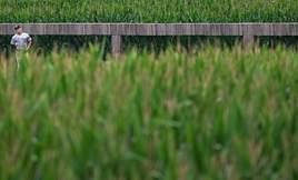 field of dreams game channel